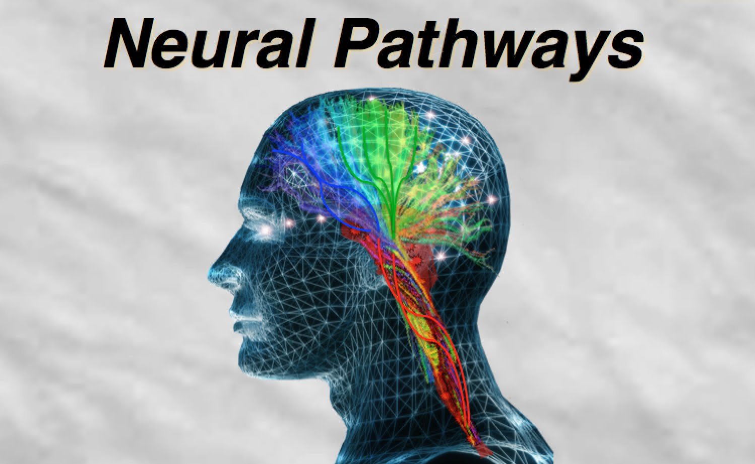 The changing Mind. Change your Mind. Changes of Mind. Change Brain and Life.