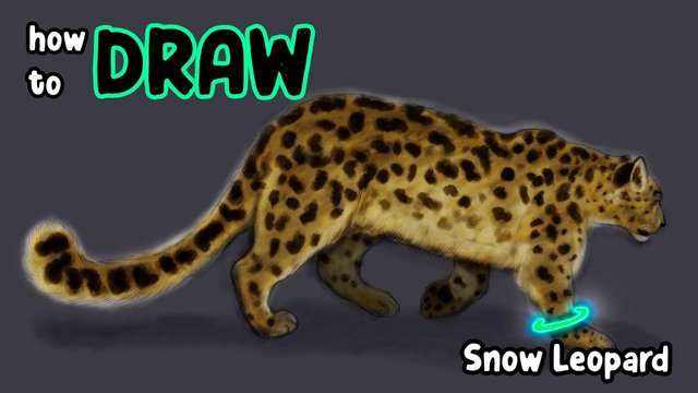 Сообщение о леопарде. Леопард песня текст. Песни про леопарда. Леопард доклад. Леопард доклад.