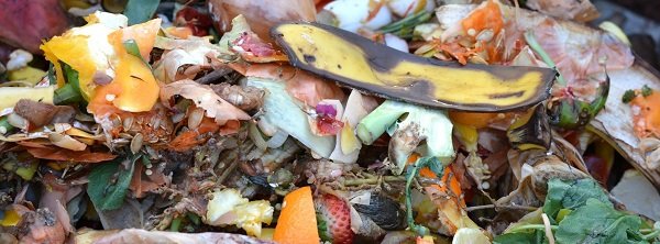 compost_fruit_and_vegetable_waste_composting_banana_peel-740377.jpg