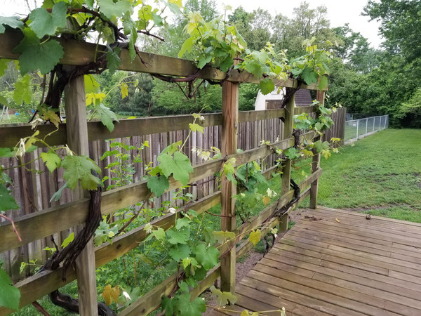20180519_074754[1].jpg