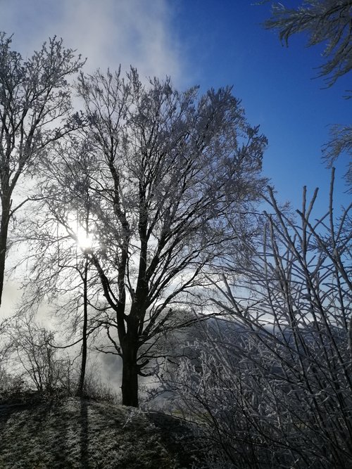 Kein Bild