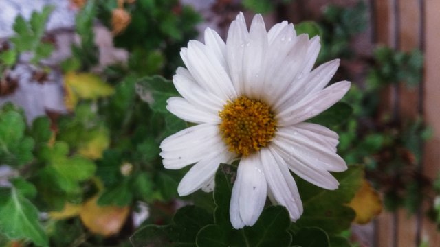 CYMERA_20201111_134339.jpg