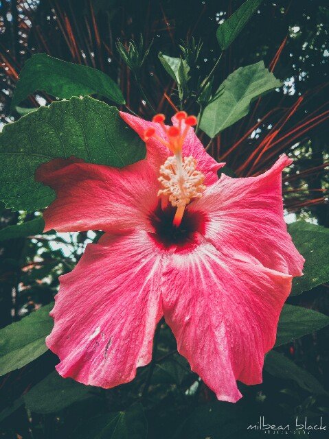 PicsArt_08-01-05.22.32.jpg