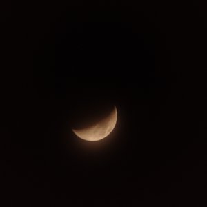 IMG_20210418_195404761.jpg