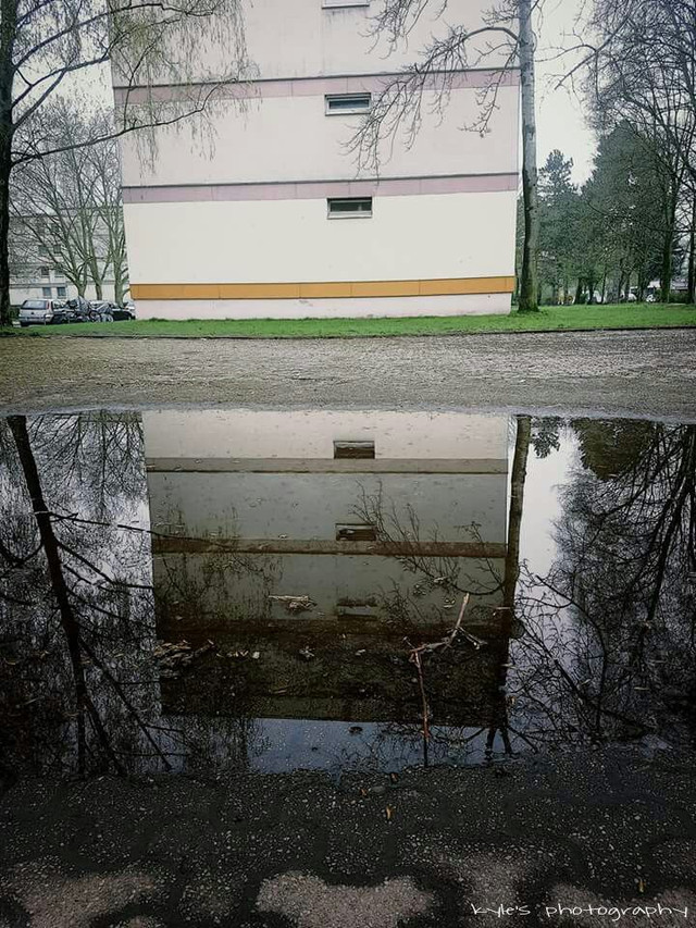 PicsArt_04-29-10.50.55.png
