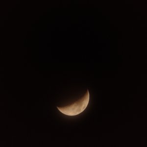 IMG_20210418_195458660.jpg