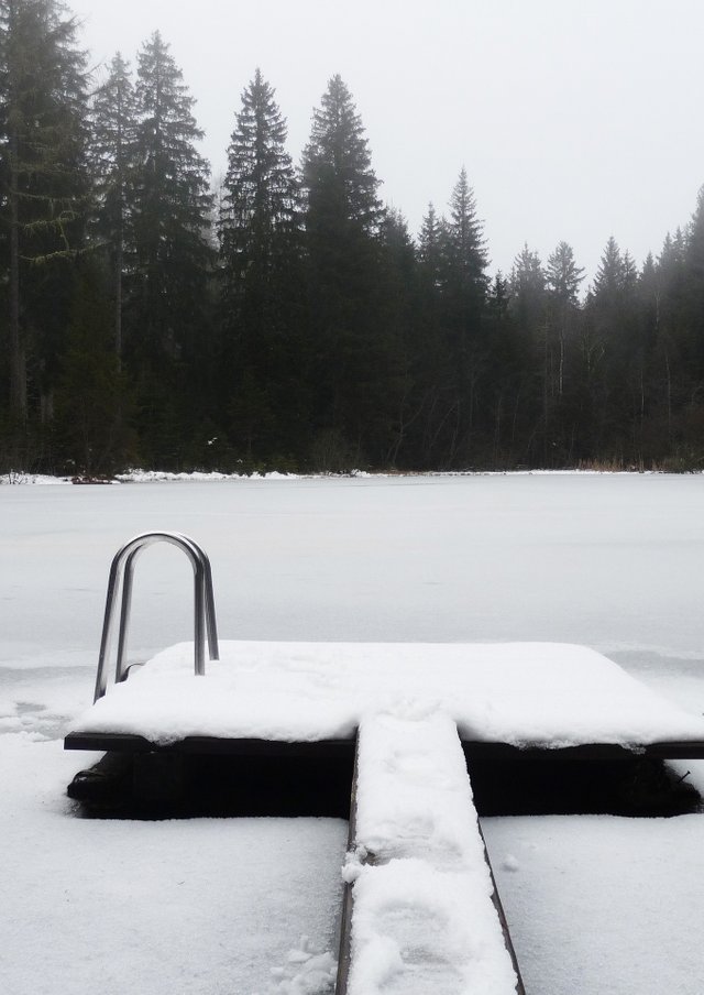 winter-gbee3a82d0_1920.jpg