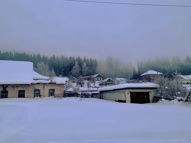 20220204_042839903_iOS.jpg