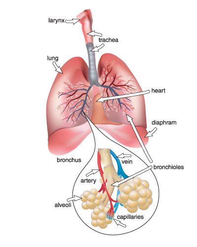 shutterstock_259670093.jpg
