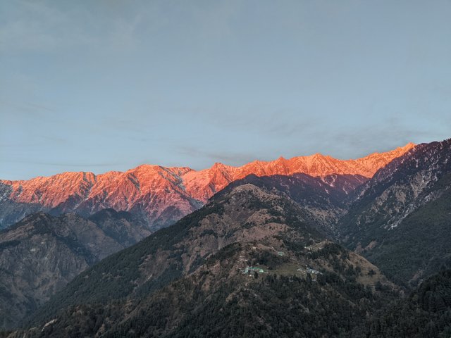 PXL_20201231_120441084.jpg