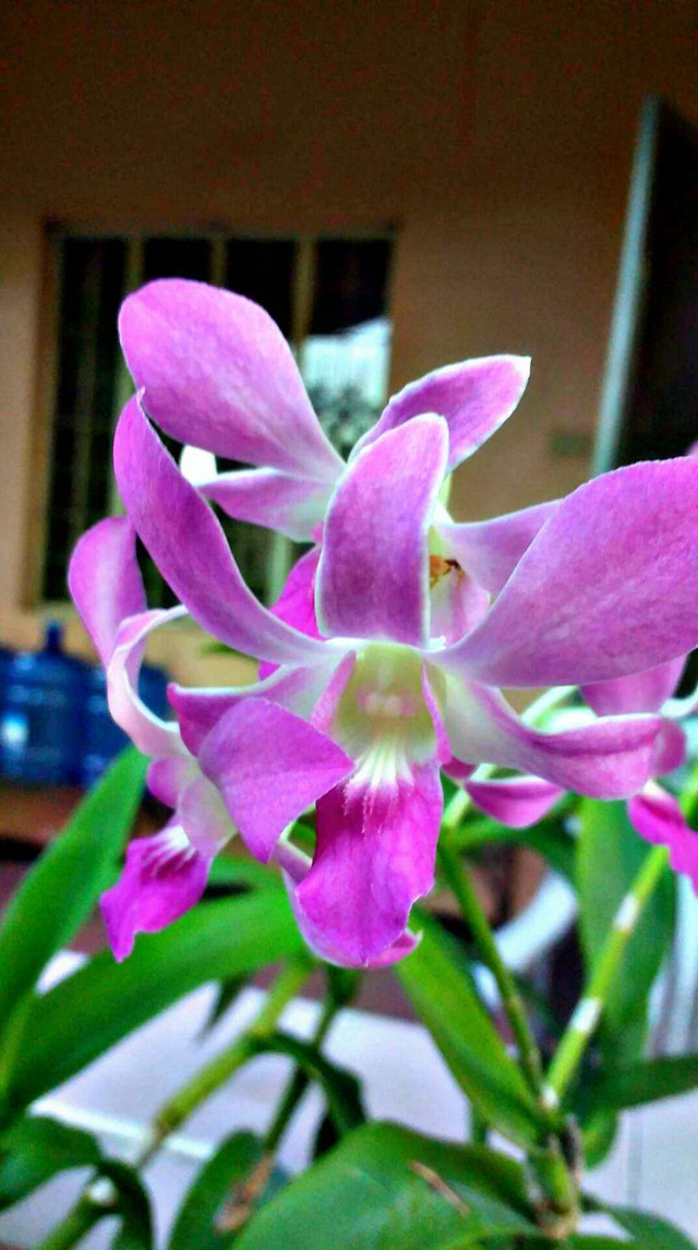 PicsArt_04-23-08.53.10.jpg