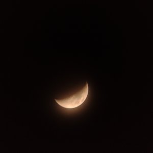 IMG_20210418_195419014.jpg