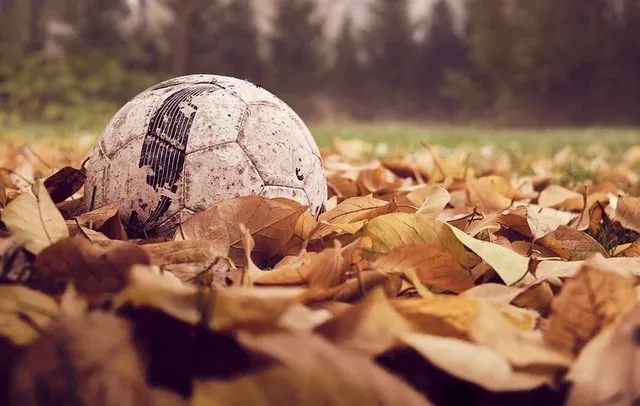 football-4586282__480.webp
