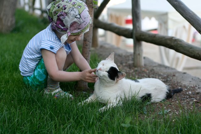 cat 2012_icmeler_056.jpg