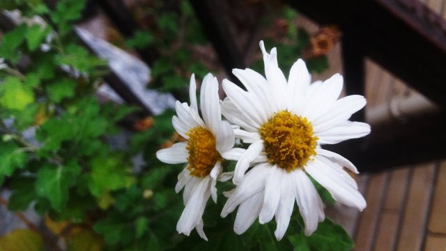 CYMERA_20201111_134135.jpg