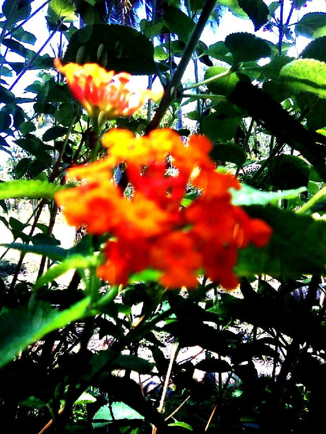 UPHOTO_20180427_124158.jpg