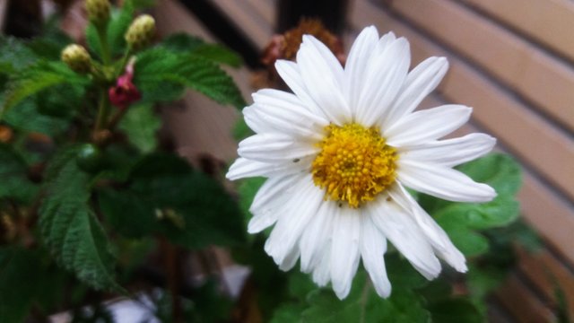 CYMERA_20201111_134204.jpg