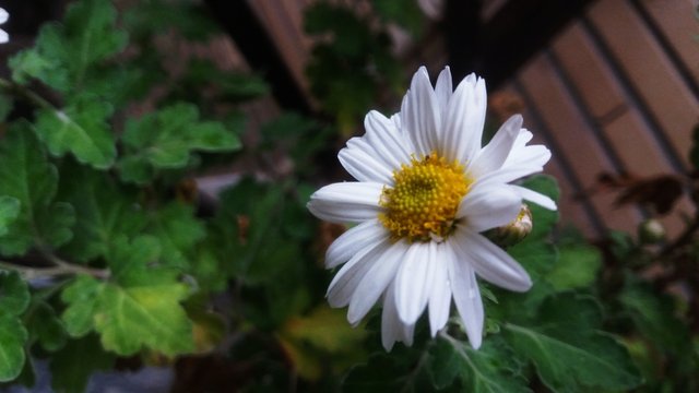 CYMERA_20201111_134451.jpg
