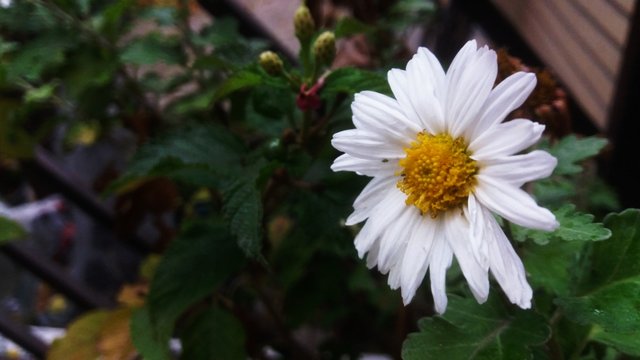 CYMERA_20201111_134510.jpg