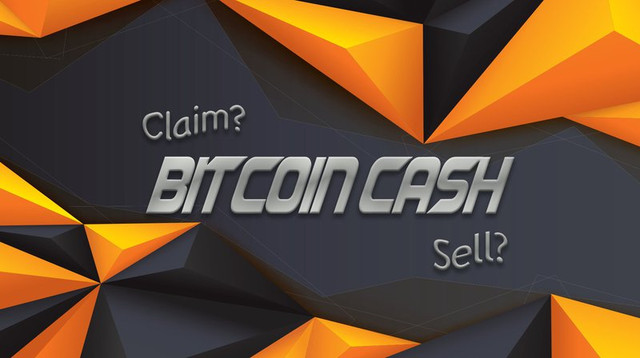 Bitcoin Cash Image.jpg