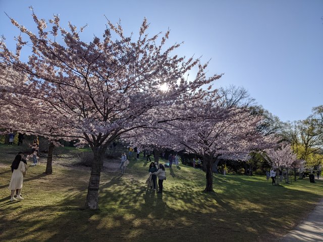 PXL_20220508_115223992.jpg