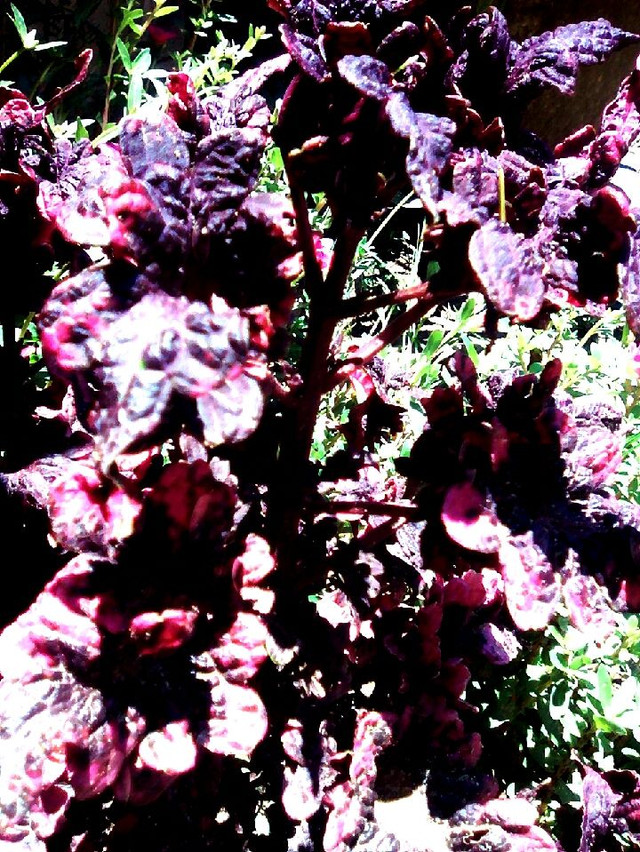 UPHOTO_20180427_124005.jpg