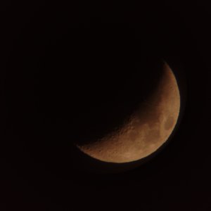 IMG_20210418_200144690.jpg