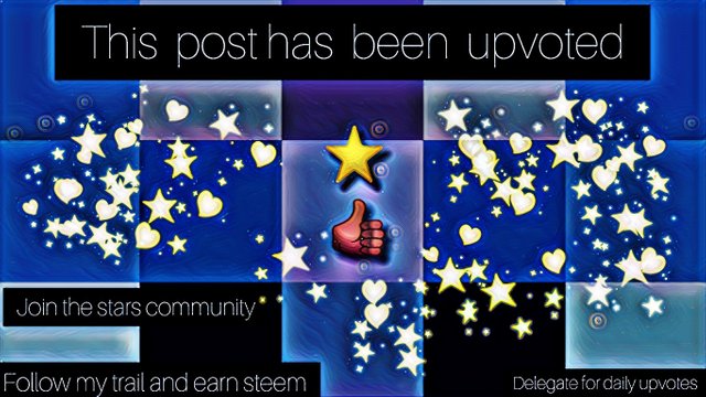 star's community