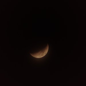 IMG_20210418_195401410.jpg