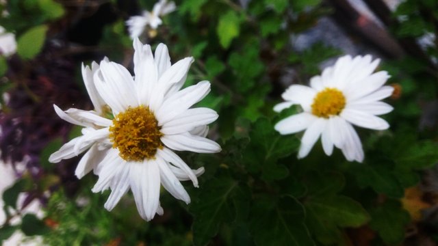 CYMERA_20201111_134402.jpg