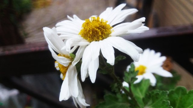 CYMERA_20201111_134425.jpg