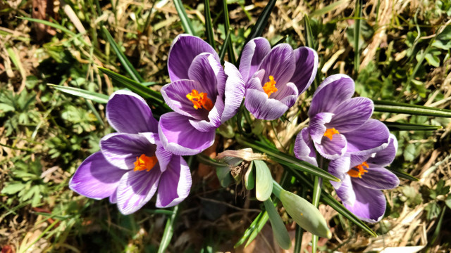 IMG_20180404_153817795.jpg