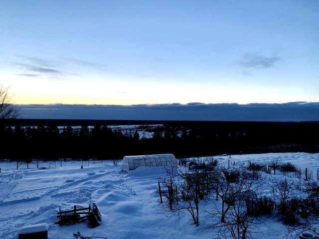20211205_042916273_iOS.jpg