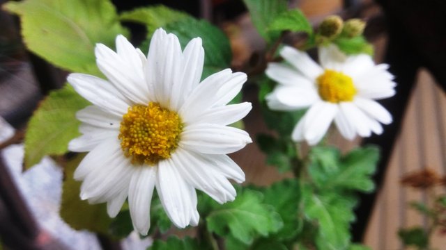 CYMERA_20201111_134235.jpg
