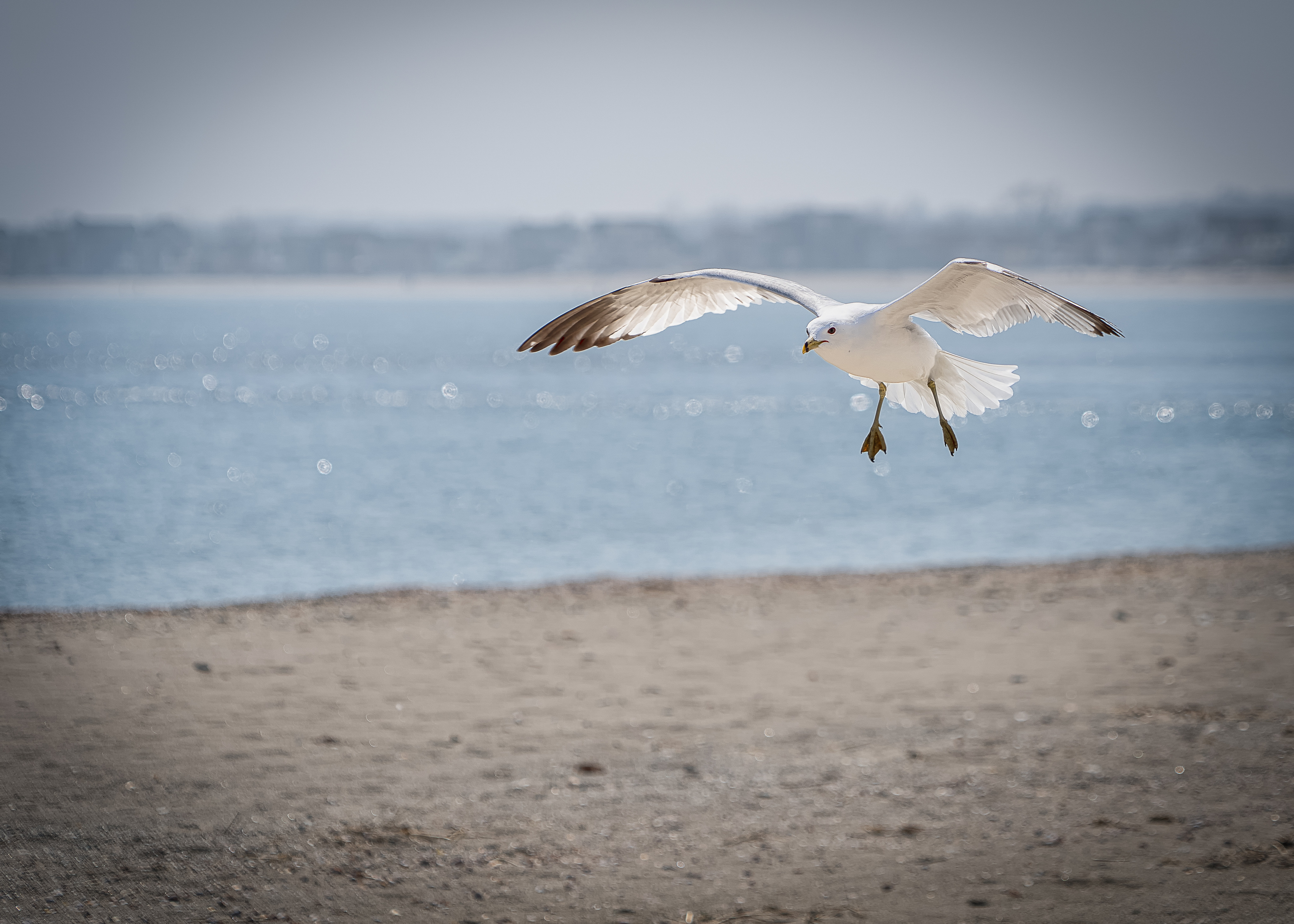 first a73 shots_-5.jpg