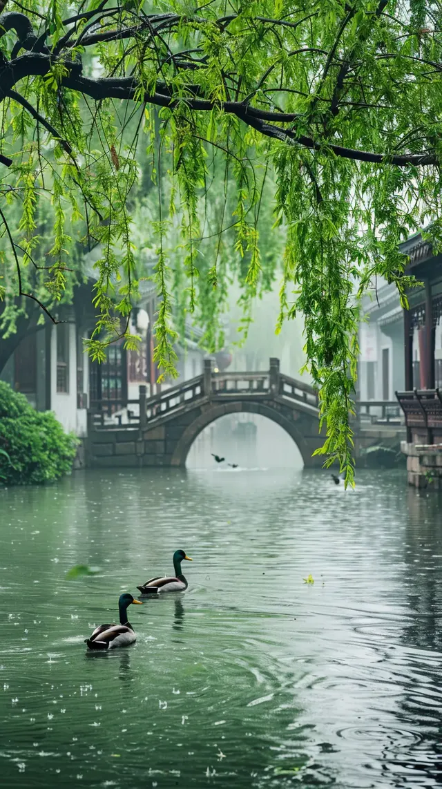 DM_20240507083648_001.webp
