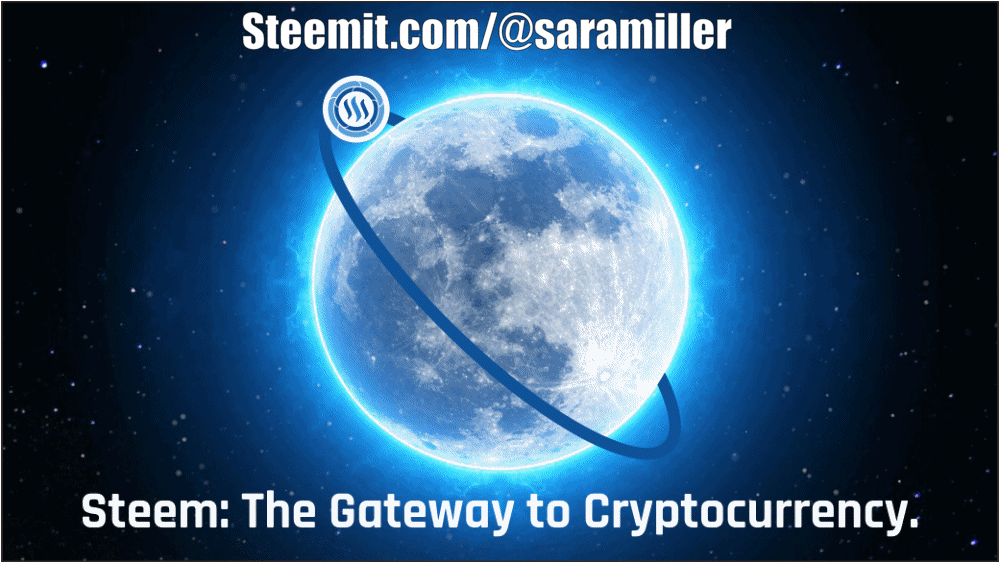 SaraMillerSteemPlanet1.gif