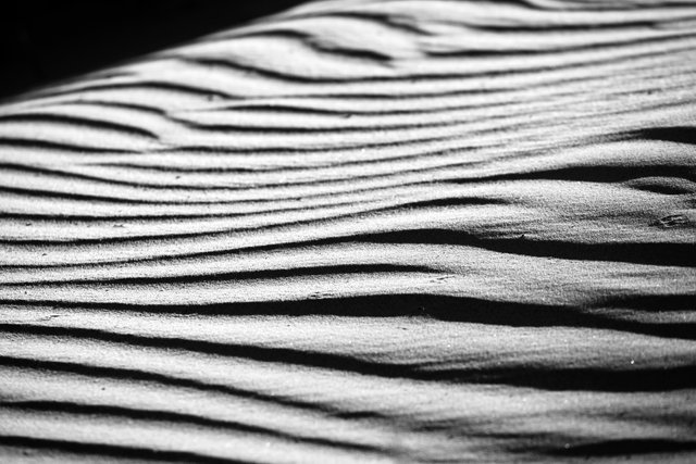 shape of wind BW.jpg