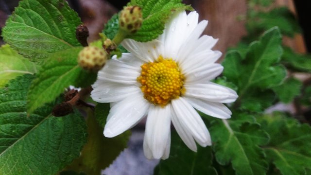 CYMERA_20201111_134308.jpg