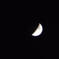 IMG_20210419_203212066.jpg