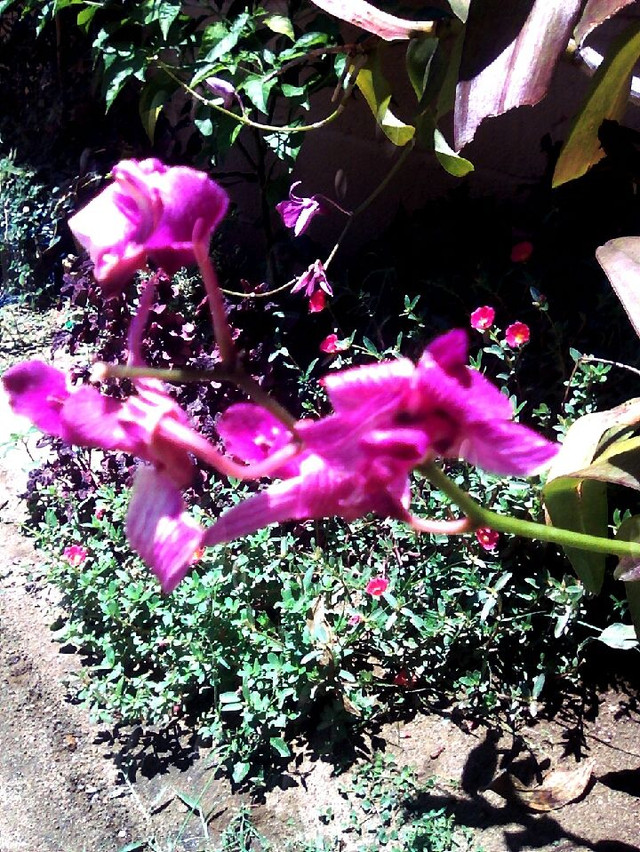 UPHOTO_20180427_123809.jpg