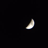 IMG_20210419_203208574.jpg
