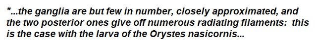 excerpt for borjan.jpg
