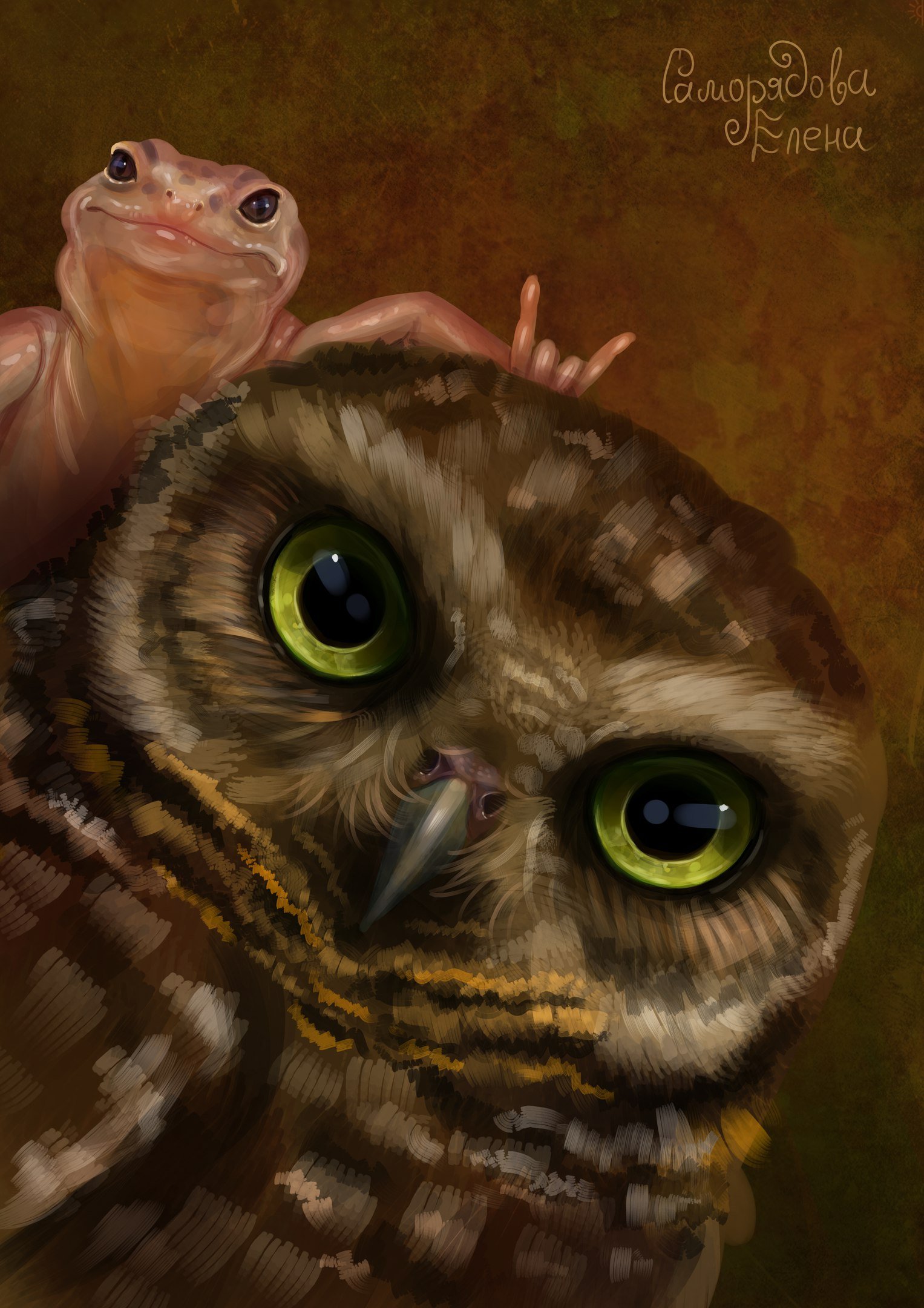 сова ест лягушек. сова и жаба. смешные совята. сов и жаба. сов и жаба.