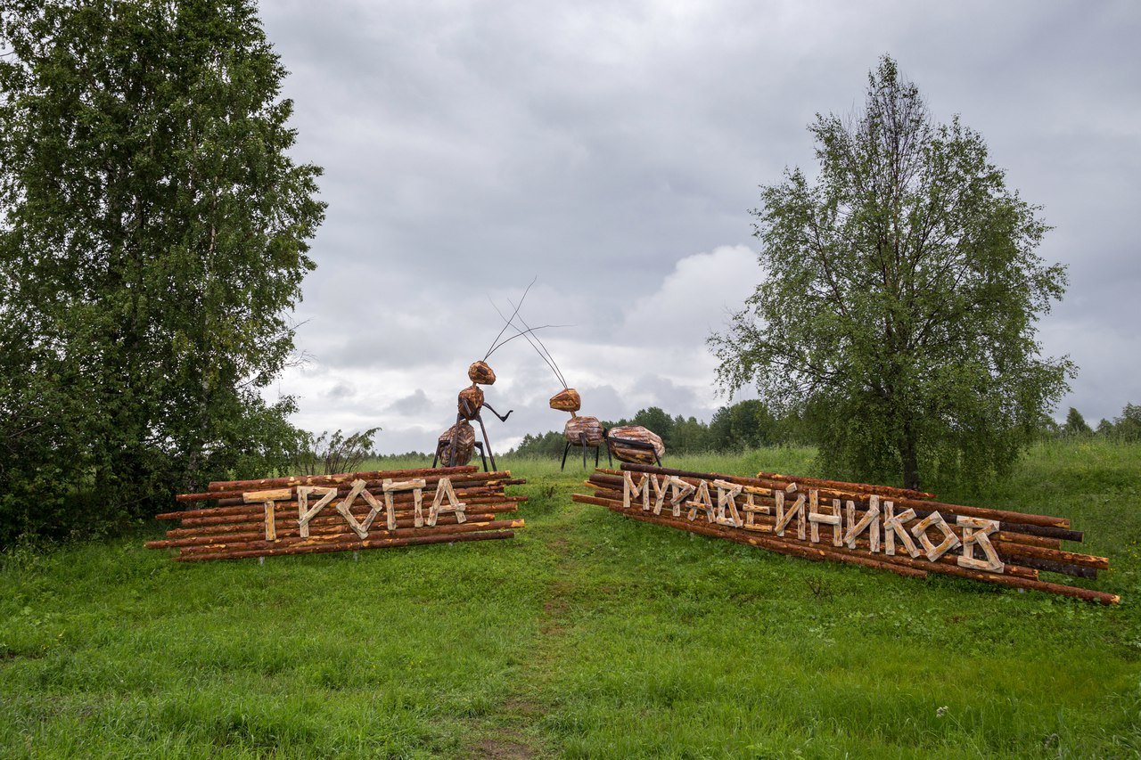 Акварель марьина горка. Кенозеро тропа муравейников. Муравьиная тропа Каргополь. Кенозёрский национальный парк тропа муравейников. Кенозерье тропа.