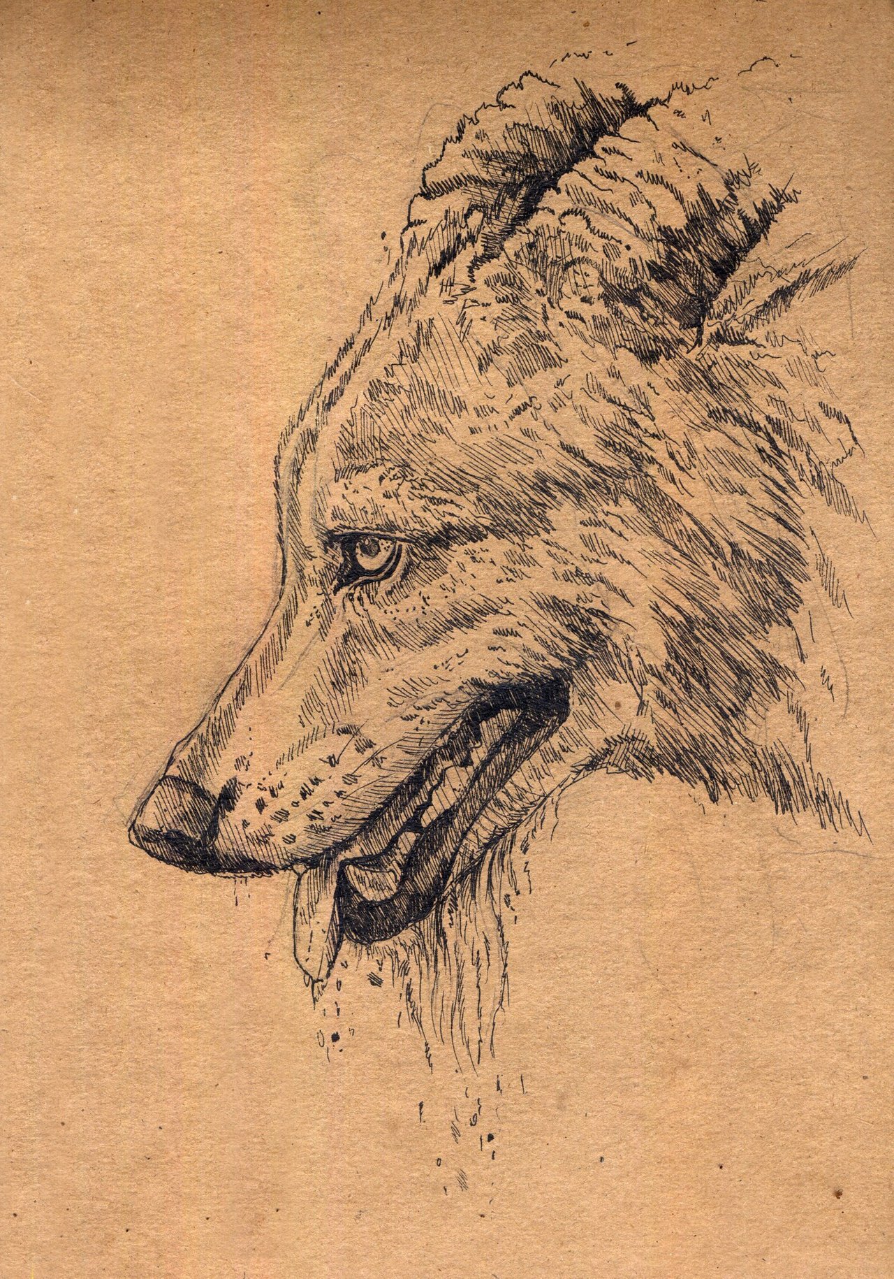 Зарисовки в скетчбуке волки