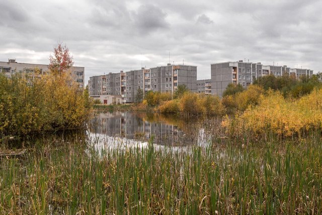 станция восток погода. погода в коряжме на 14 дней. влажность воздуха на неделю. погода в коряжме на 14 дней. погода на завтра в коряжме.
