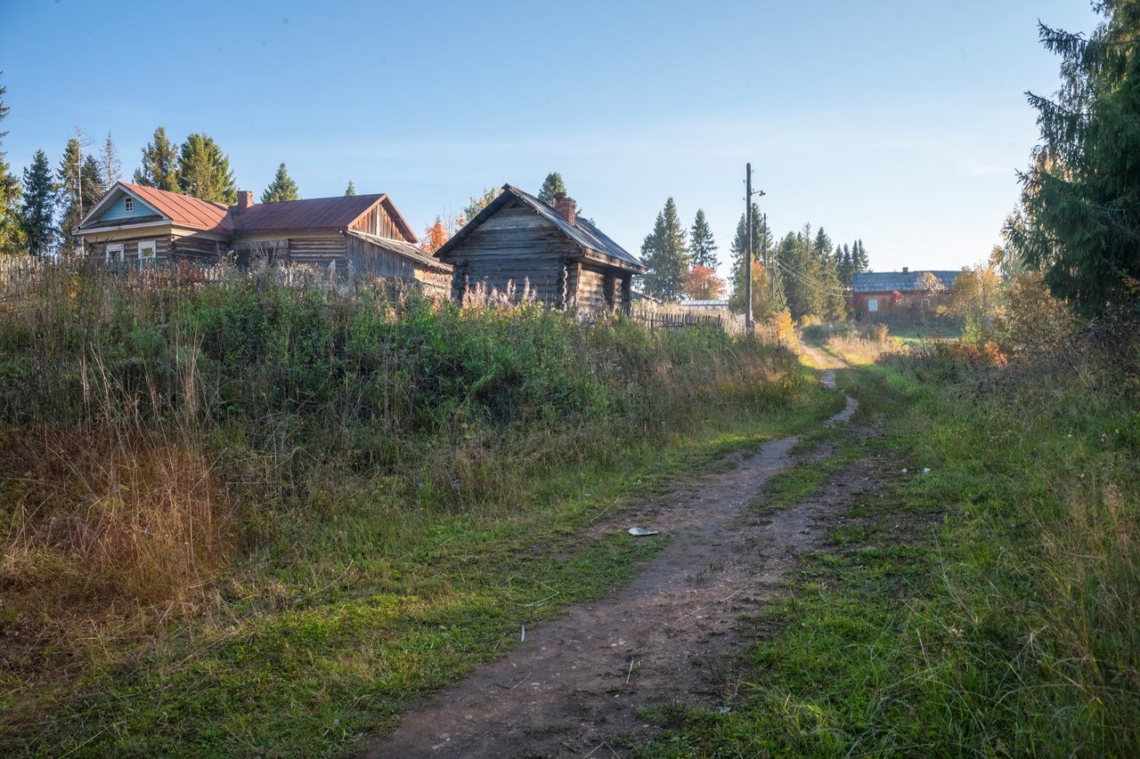 Погода в красавино в великоустюгском районе. Деревня Красавино Вологодской области. Великий Устюг деревня Красавино. Деревня Ивашево Великоустюгский район. Петряевская роща Великоустюгский район.