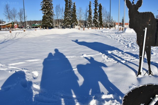 shasta2019feb20th47moreshadows3io.jpg