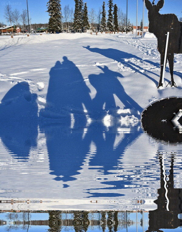 shasta2019feb20th47moreshadows2io.gif